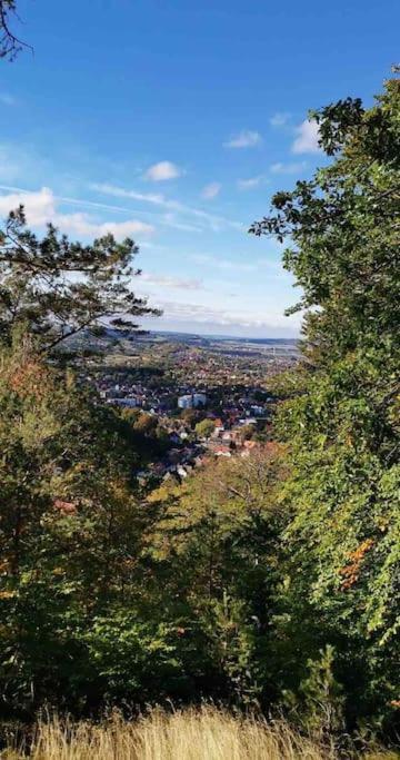Ferienwohnung Am Burgberg In Bad Harzburg Buitenkant foto